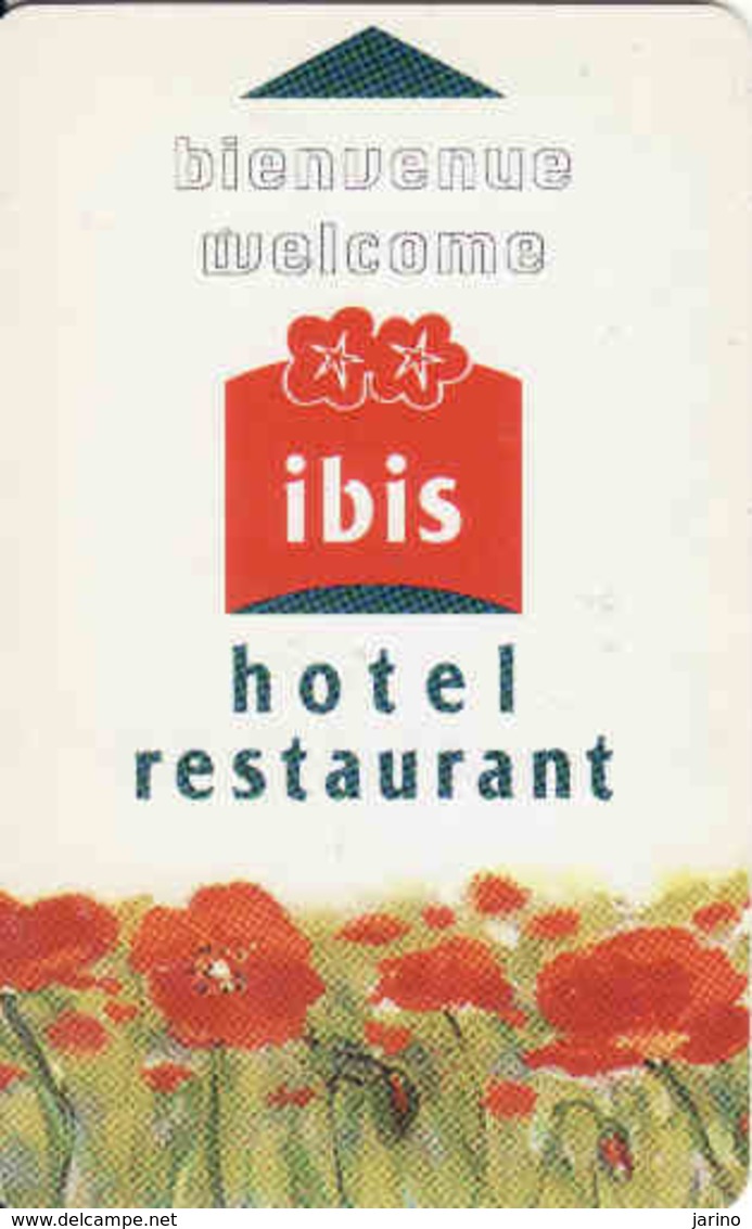 Hotel Keycard Ibis Magnetic Hotel Card - Cartes D'hotel