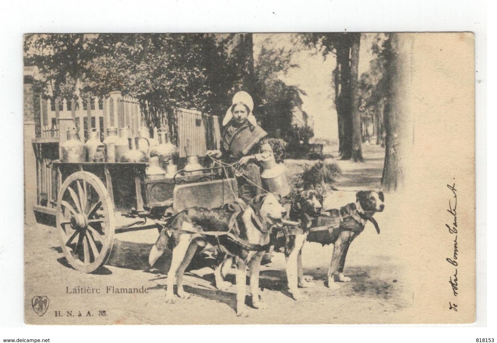 Laitière Flamande  Melkkar Met Honden 1906 H.N. à A. 35 - Autres & Non Classés