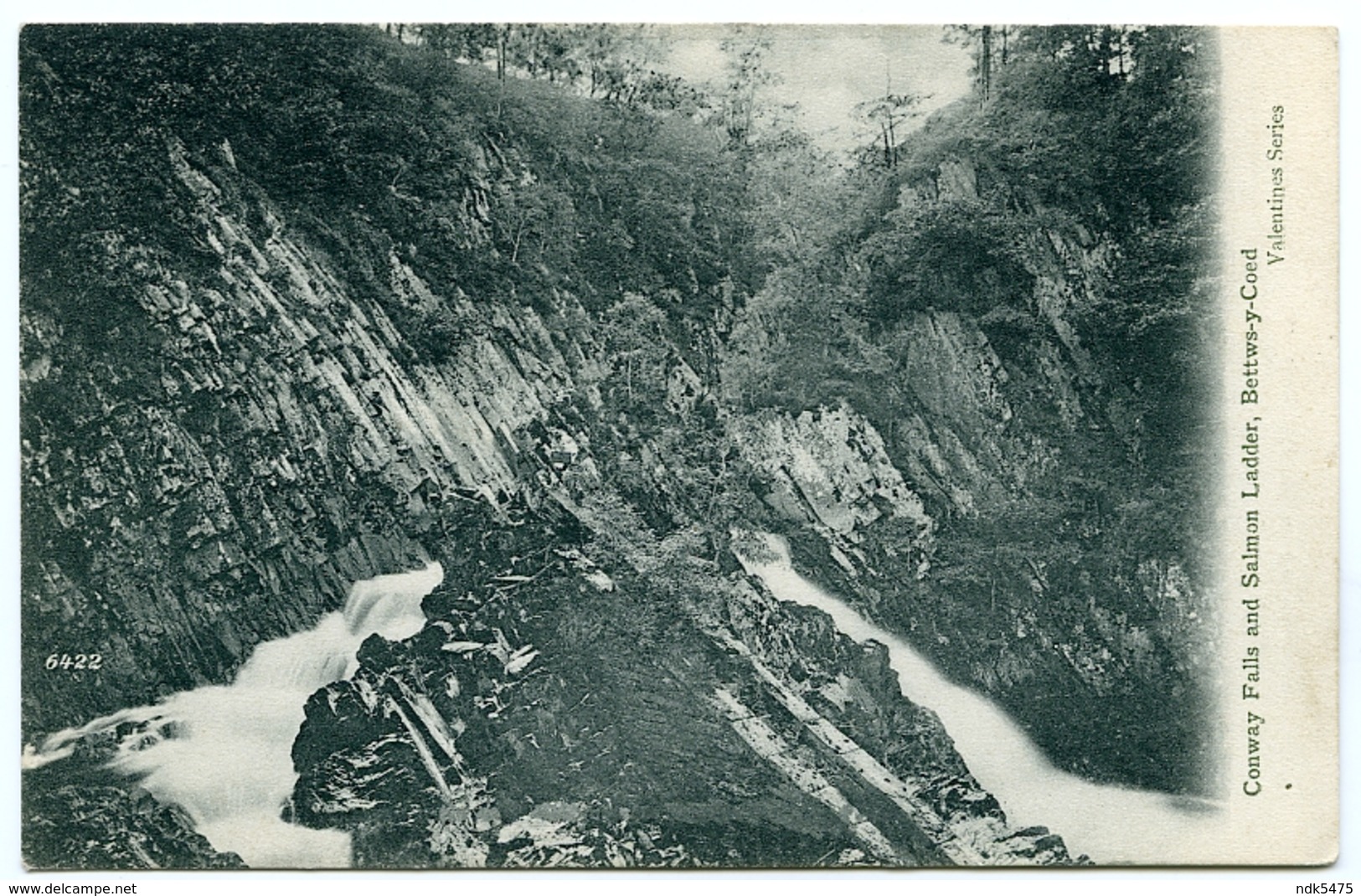 SALMON LADDER : CONWAY FALLS AND SALMON LADDER, BETTWS-Y-COED, WALES - Vissen & Schaaldieren