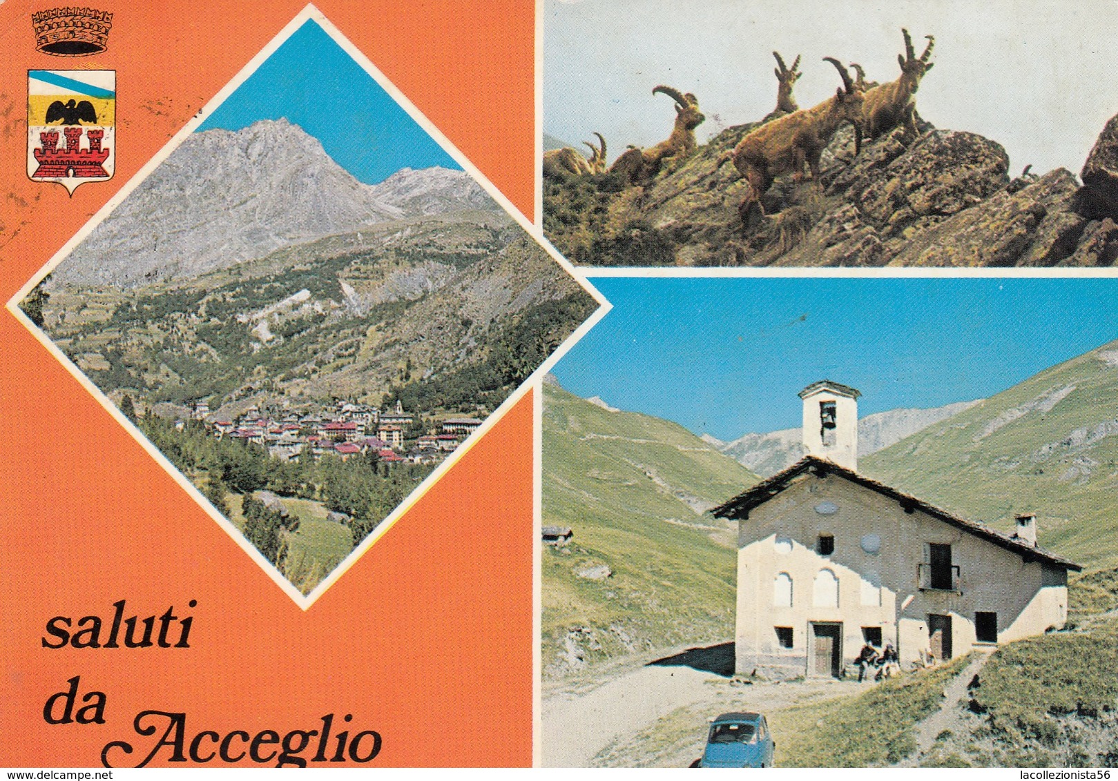 9407-SALUTI DA ACCEGLIO(CUNEO)-FG - Saluti Da.../ Gruss Aus...