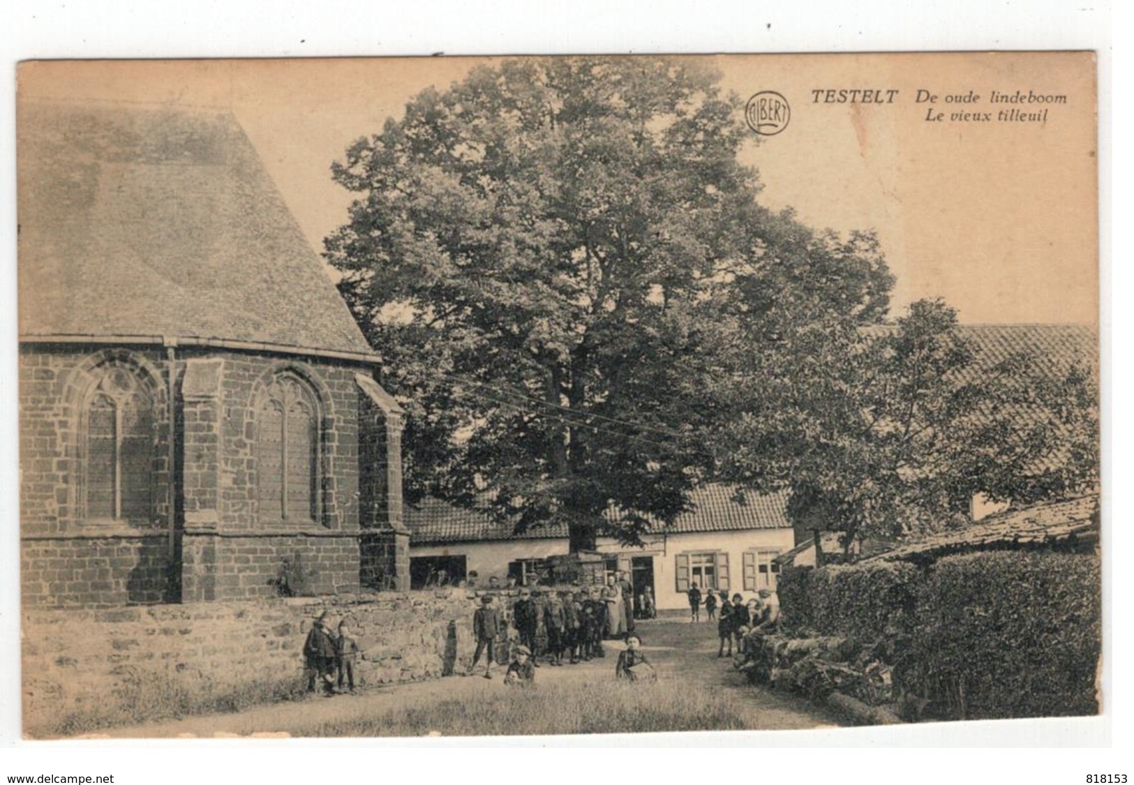 TESTELT  De Oude Lindeboom  Le Vieux Tilleuil - Scherpenheuvel-Zichem