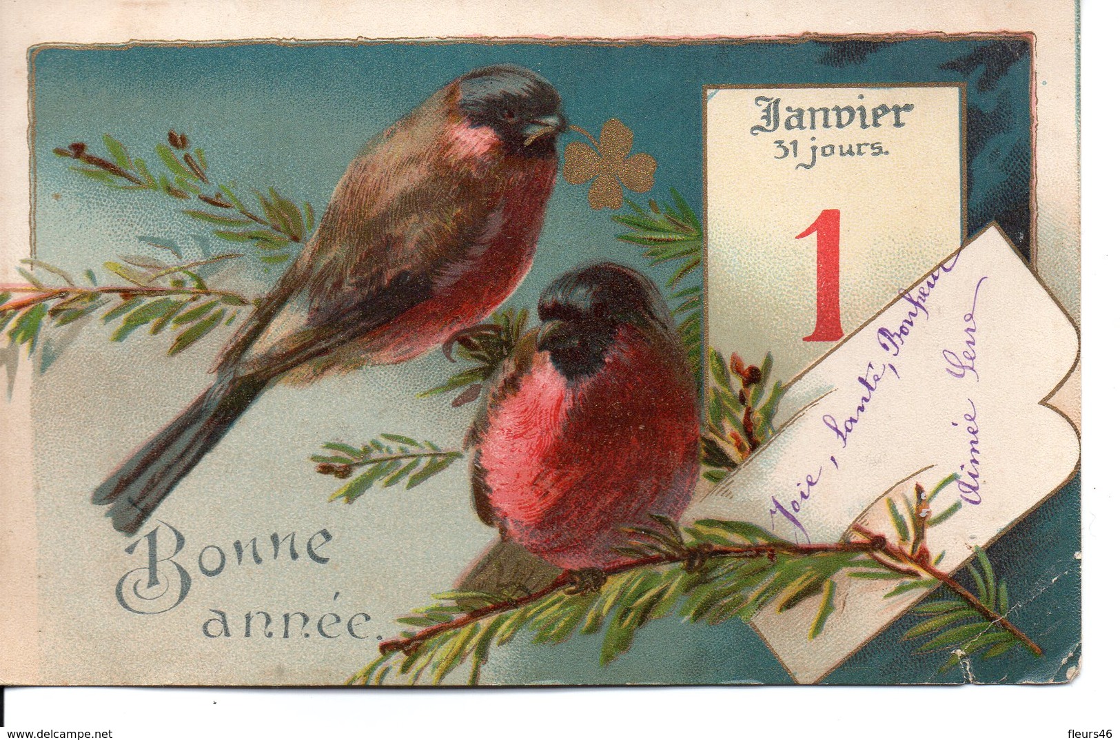 Illustrée . Oiseaux , Calendrier - Nouvel An