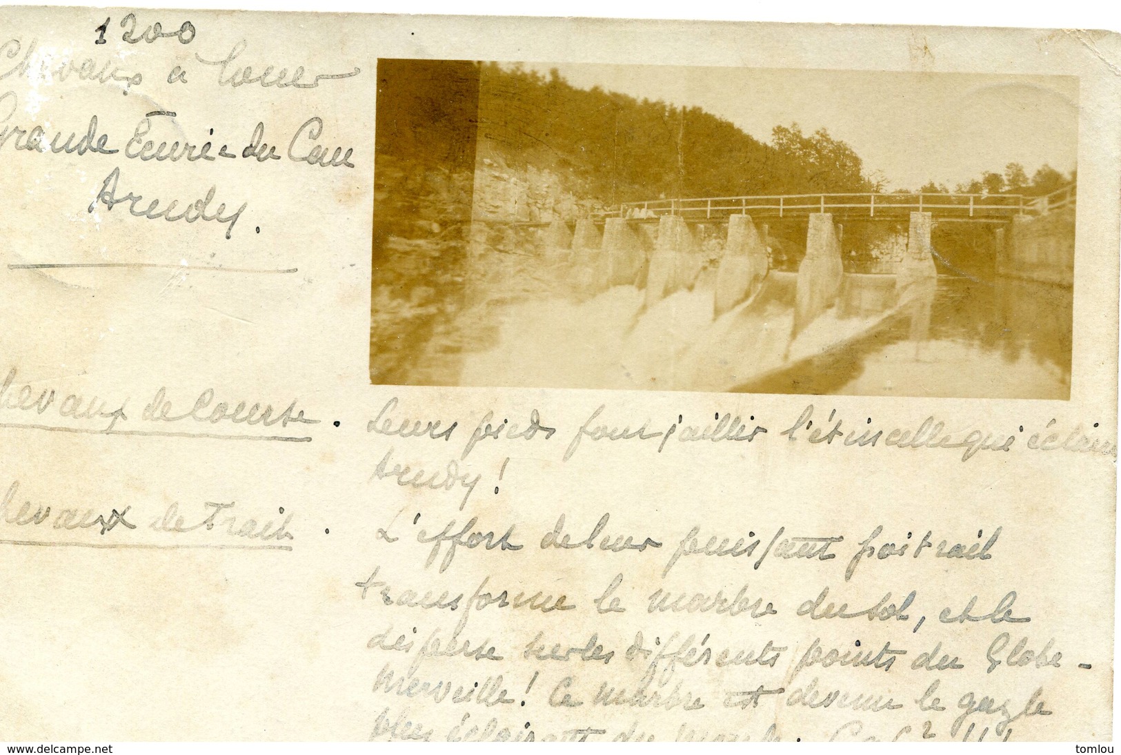 ARUDY Grande écurie Du Cau - Chevaux à  Louer  -carte Photo  1901 - Arudy