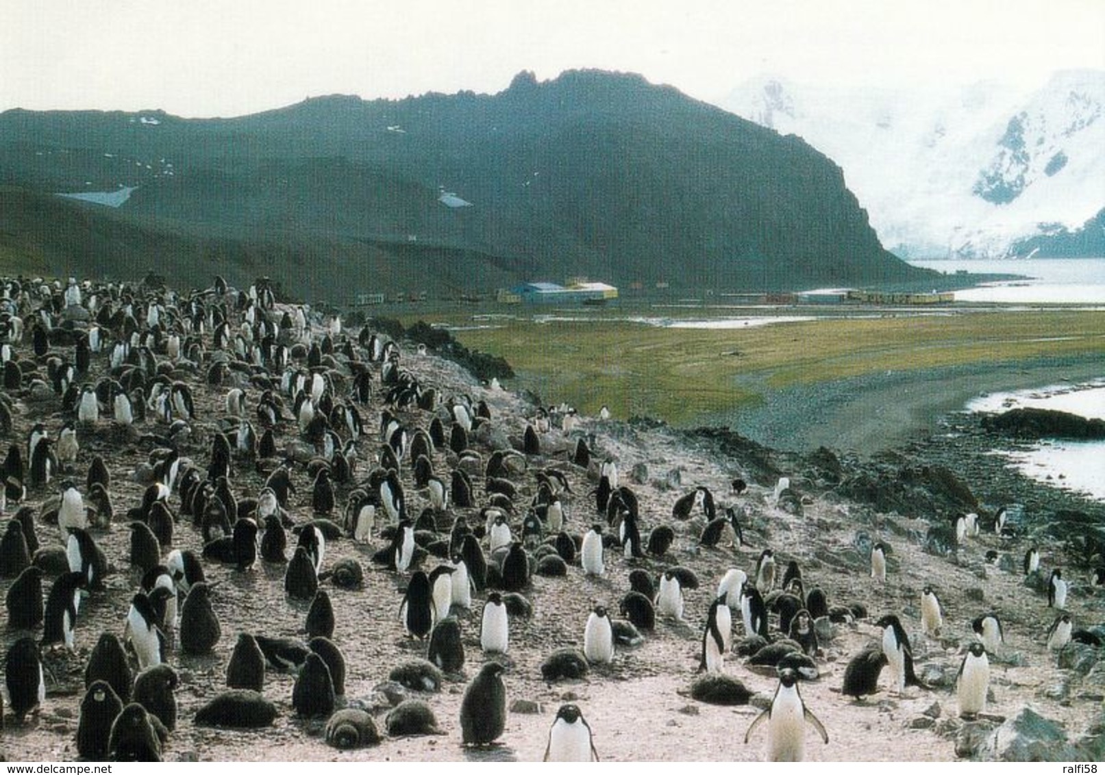 6 AK Antarktis * Forschungsstationn Von Chile, Argentinien, Peru, China (die Alte Von1985 U. Die Neue Von 1998) U. Polen - Sonstige & Ohne Zuordnung