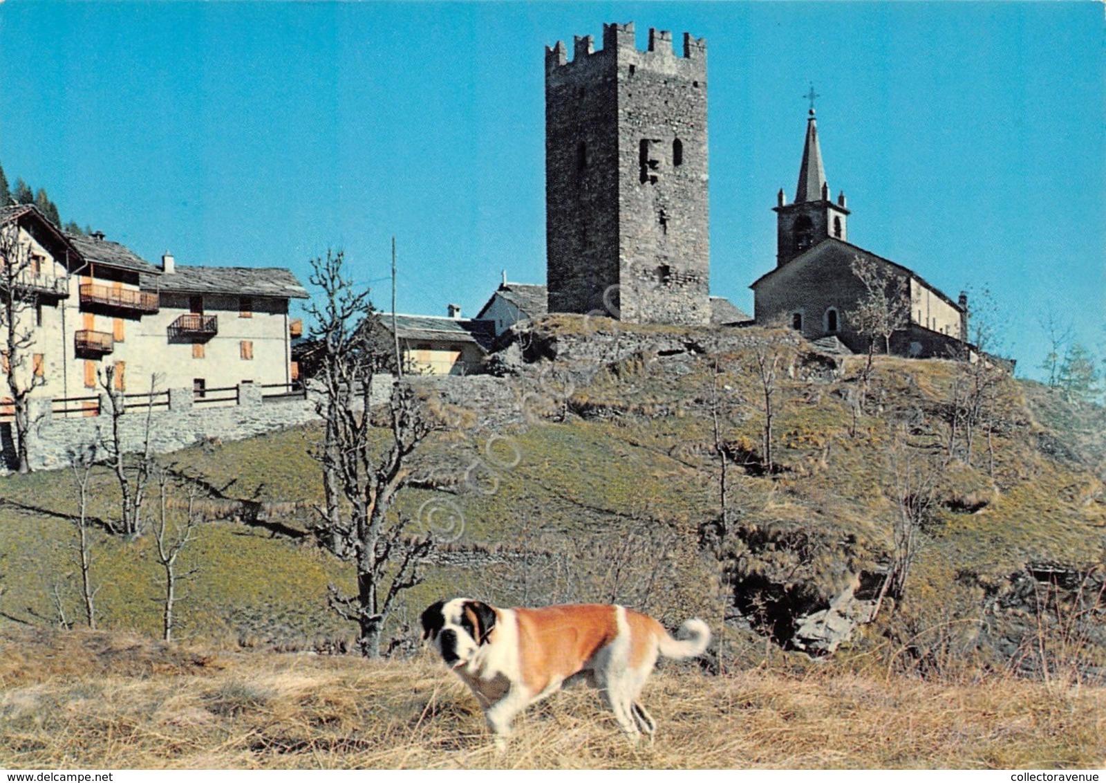 Cartolina Champorcher Torre Dei Signori Di Bard Chiesa S.Nicola Cane S. Bernardo (Aosta) - Altri & Non Classificati