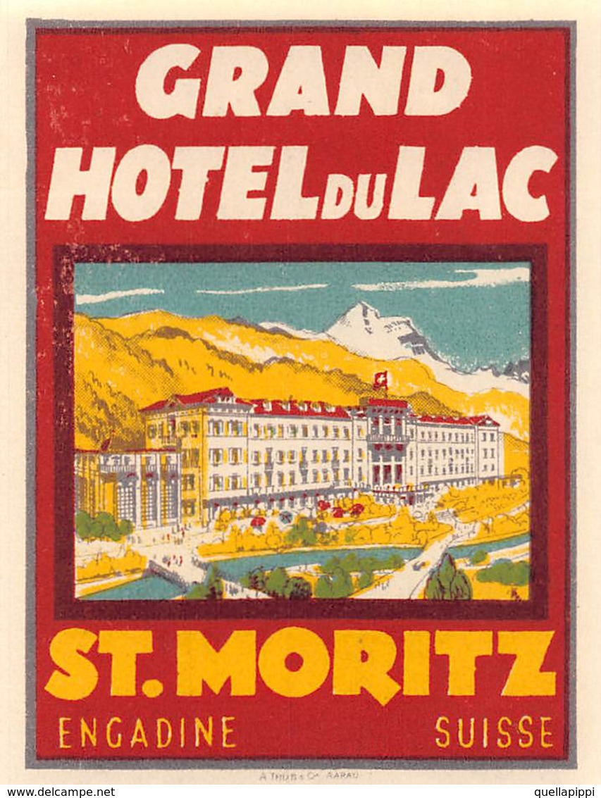 D9301 "GRAND HOTEL DU LAC - ST. MORITZ - SUISSE - ENGADINE " ETICHETTA ORIGINALE, 1930 - Hotel Labels