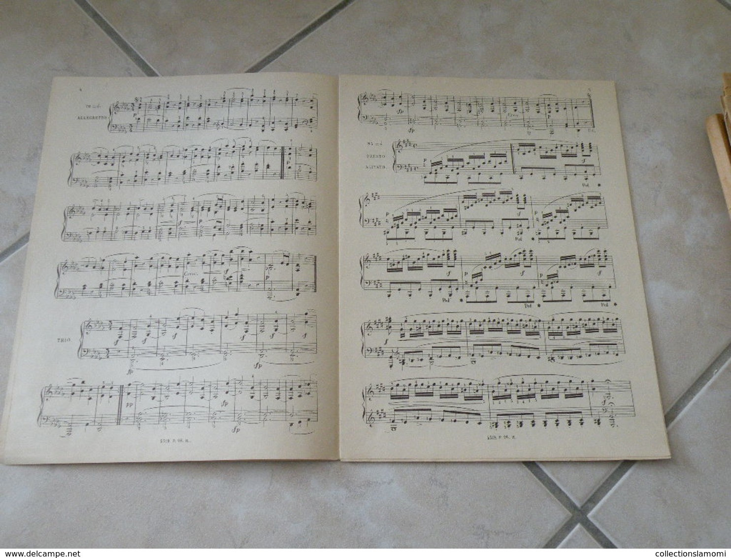 Clair De Lune Sonate N°14 (L.Van. Beethoven) - Musique Classique Piano (Panthéon Des Pianistes) - Keyboard Instruments