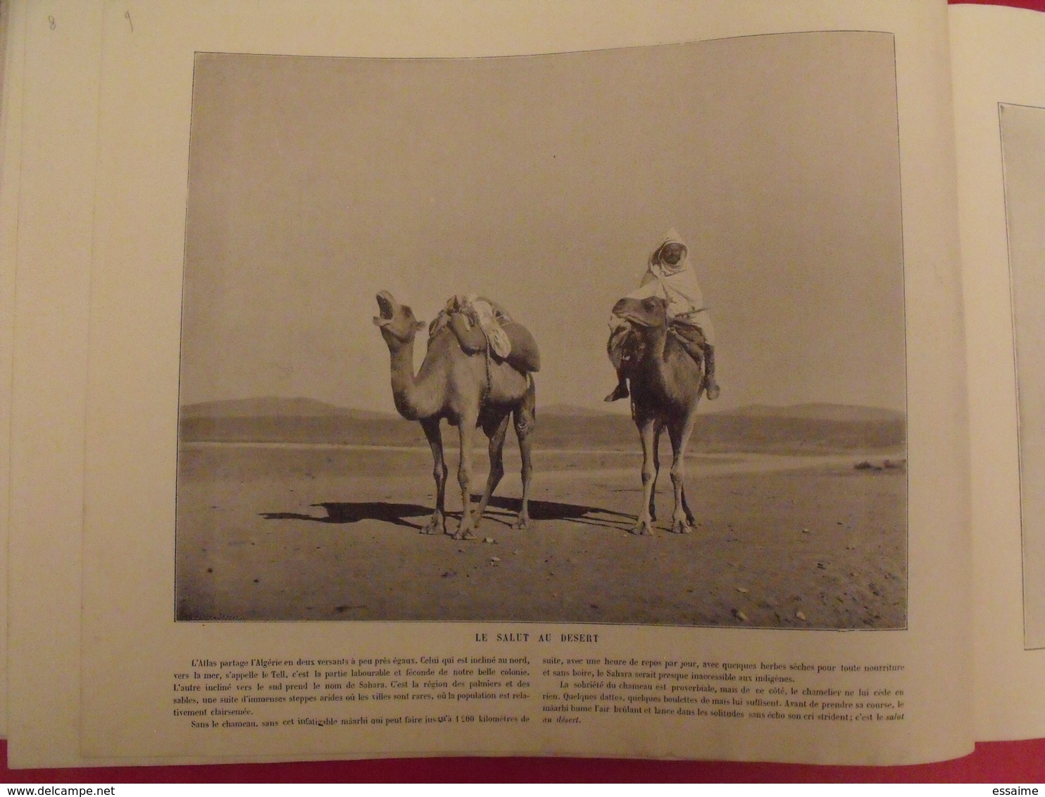 380 photographies. le Panorama. merveilles de la France, Belgique, Suisse, Algérie, Tunisie. Neurdein. 1895 Baschet