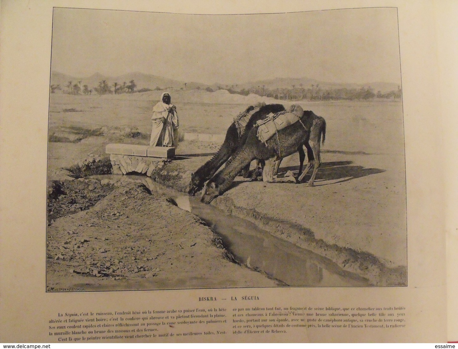 380 photographies. le Panorama. merveilles de la France, Belgique, Suisse, Algérie, Tunisie. Neurdein. 1895 Baschet