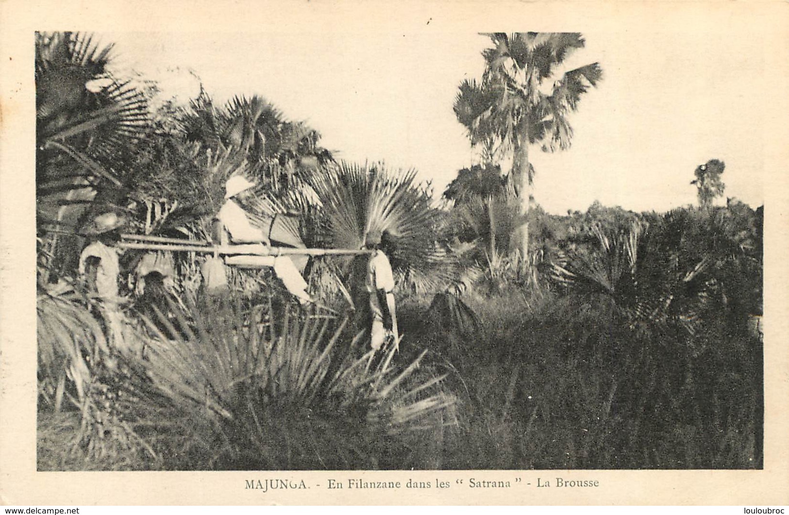 MAJUNGA EN FILANZANE DANS LES SATRANA LA BROUSSE - Madagascar