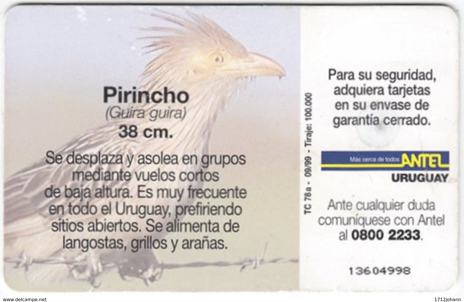 URUGUAY A-302 Chip Antel - Animal, Bird - Used - Uruguay