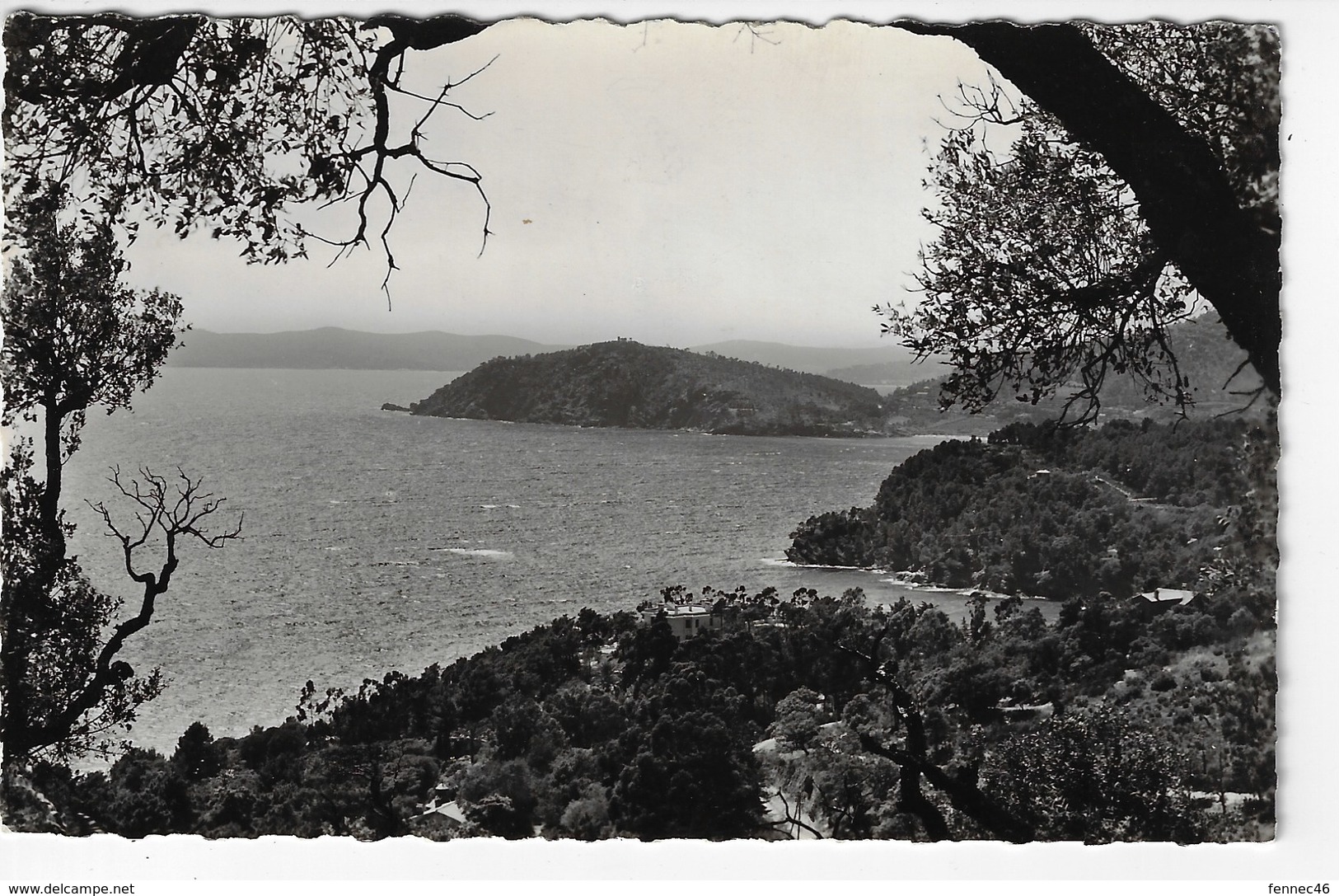 83 - LE CANADEL - Vue Panoramique Du Cap Nègre - 1957 (H16) - Rayol-Canadel-sur-Mer