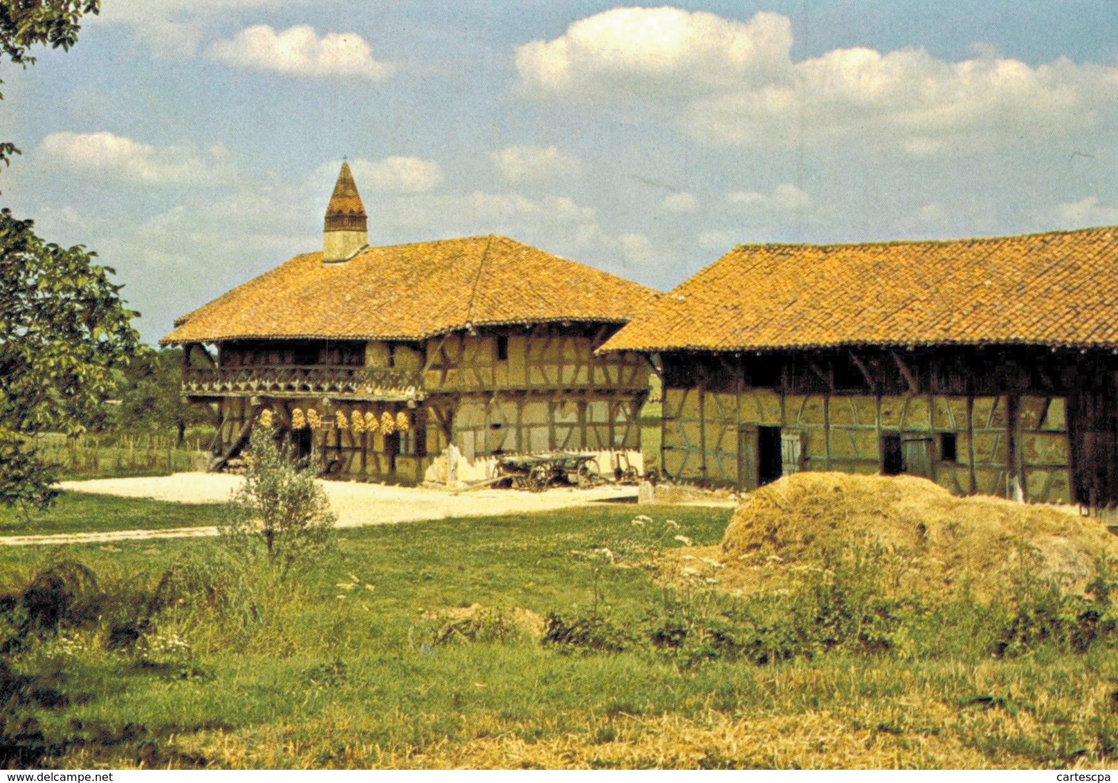 Saint Trivier De Courtes Ferme Musée De La Foret  CPM Ou CPSM - Non Classés