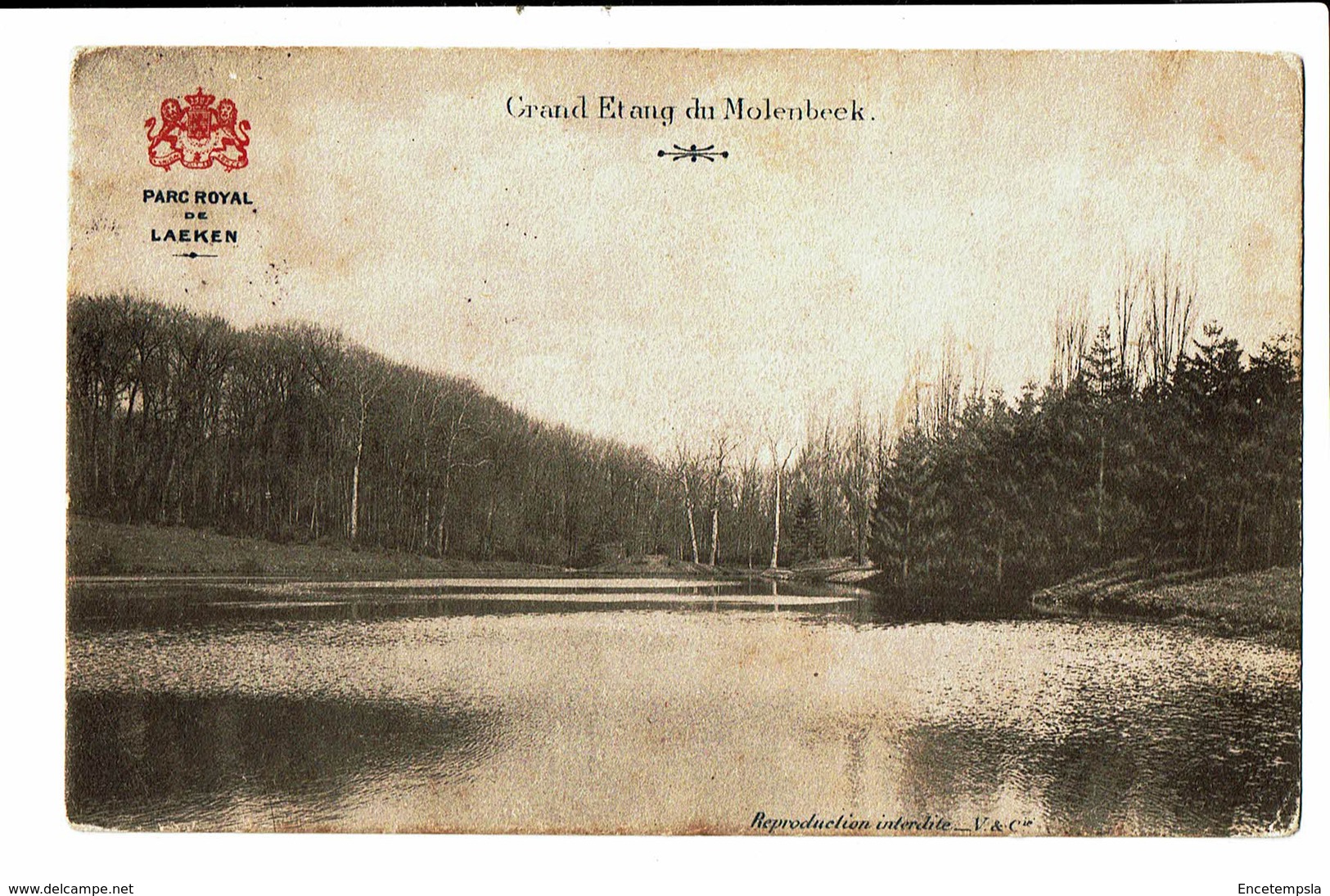 CPA - Carte Postale -   Belgique Molenbeek- Grand Etang 1909 VM3486 - Forêts, Parcs, Jardins