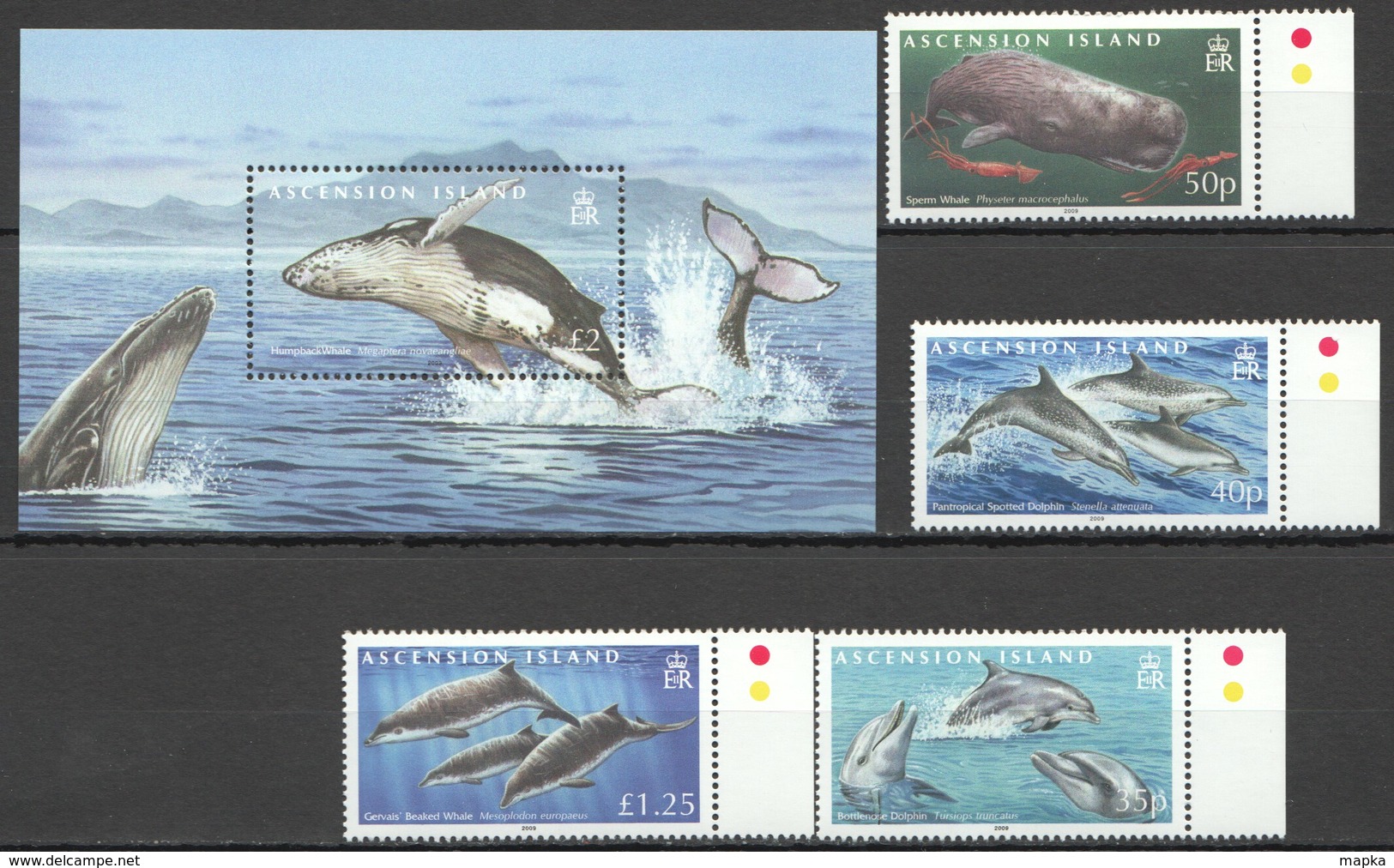 O874 2009 ASCENSION ISLAND MARINE LIFE DOLPHINS & WHALES 1BL+1SET #1063-6 !!! MICHEL 20 EURO !!! MNH - Baleines