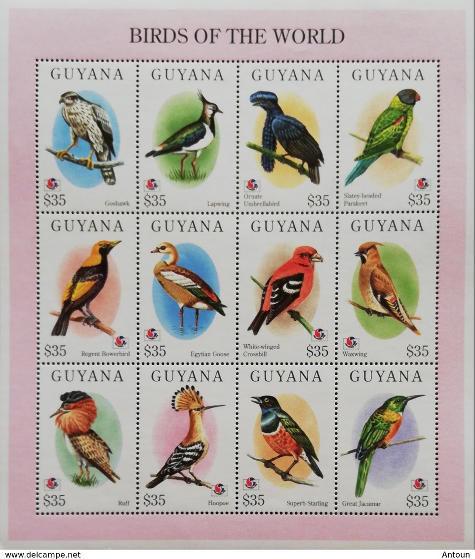 Guyana 1994 Birds Sheet Of 12 - Guyana (1966-...)