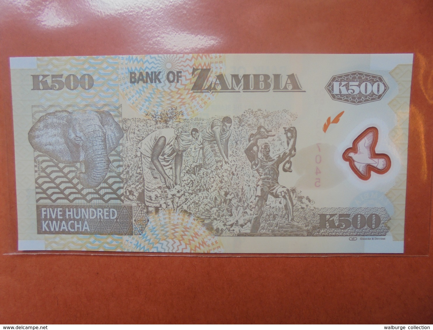 ZAMBIE 500 KWACHA 2011 PEU CIRCULER/NEUF - Zambie