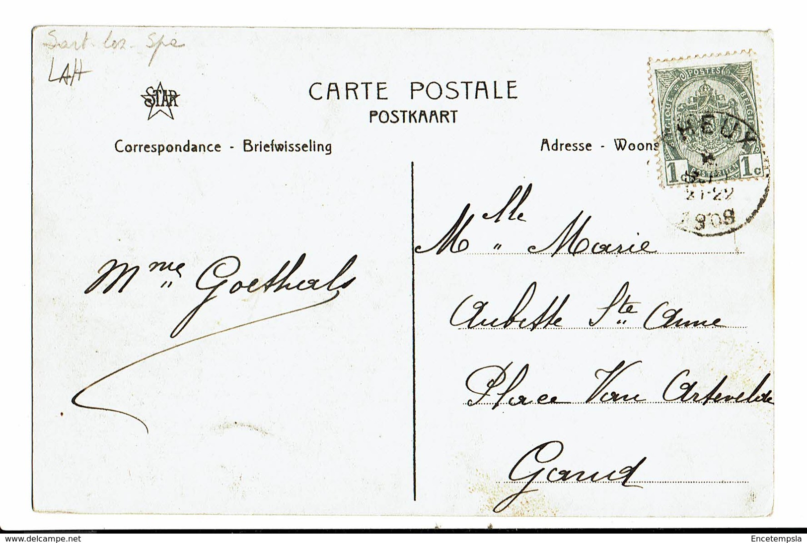 CPA - Carte Postale - Belgique La Hoegne- Palmiers Pétrifiés 1909  VM3500 - Theux