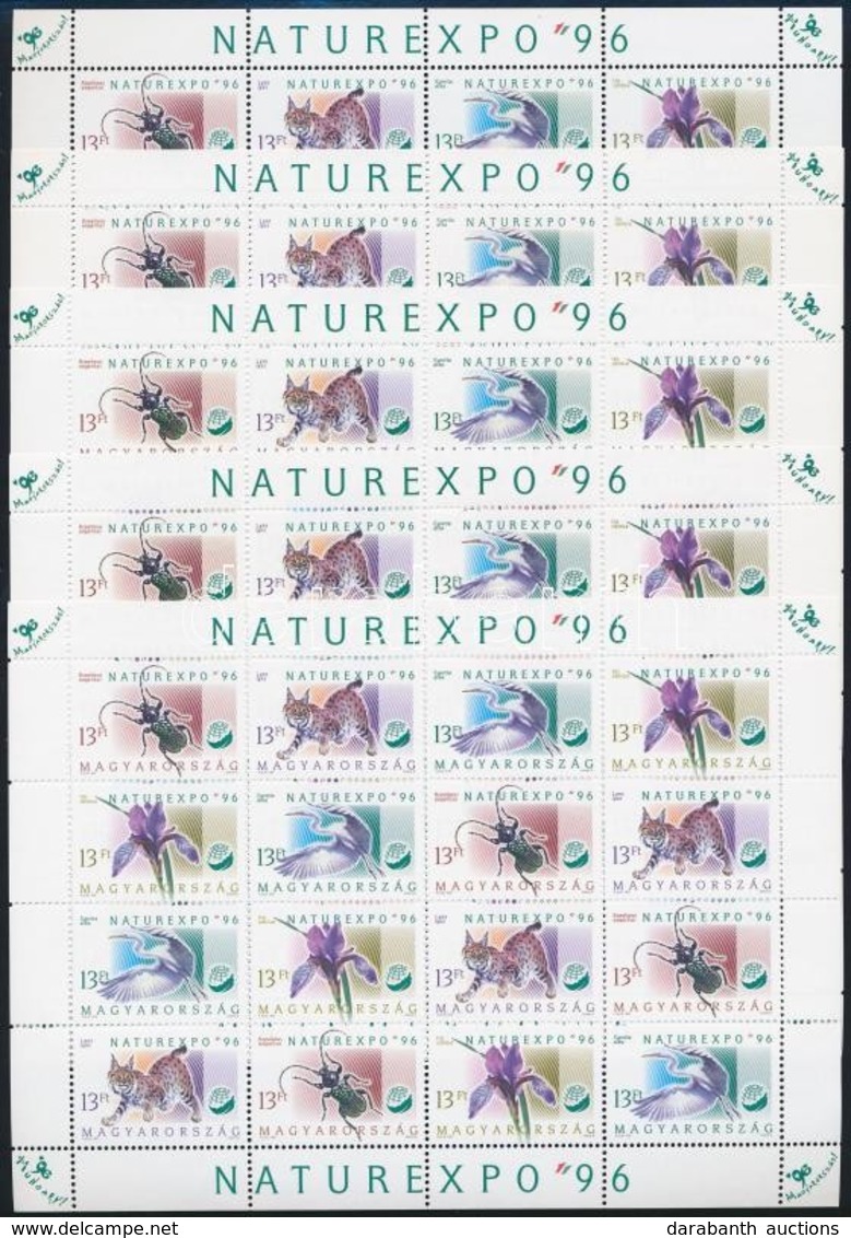 ** 1996 NATUREXPO 5 Db Teljes ív (12.500) - Other & Unclassified