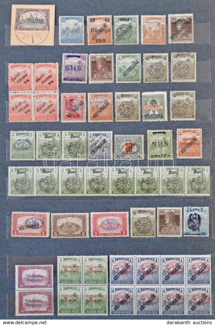 ** (*) * O 1919/20 Magyar Megszállási Gyűjtemény, Több Mint 500 Db, Debrecen, Szeged, Bácska, Baranya, Nagyvárad, Nyugat - Andere & Zonder Classificatie