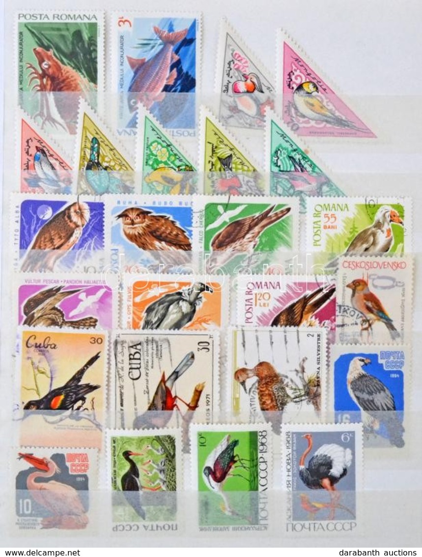 ** O Madarak Motívum Kb 390 Db Bélyeg és 6 Kubai FDC Közepes Berakóban / Birds Collection Ca. 390 Stamps And 6 Cuban FDC - Altri & Non Classificati