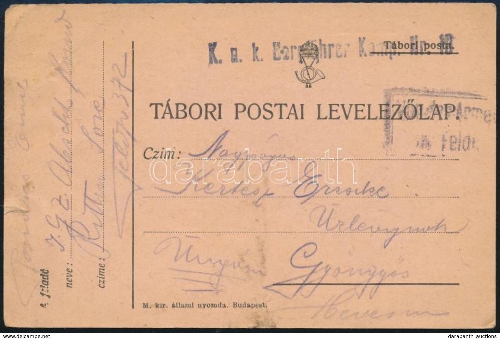 1916 Tábori Postai Levelezőlap ,,K.u.k. Bergführer Komp Nr. 10' - Other & Unclassified