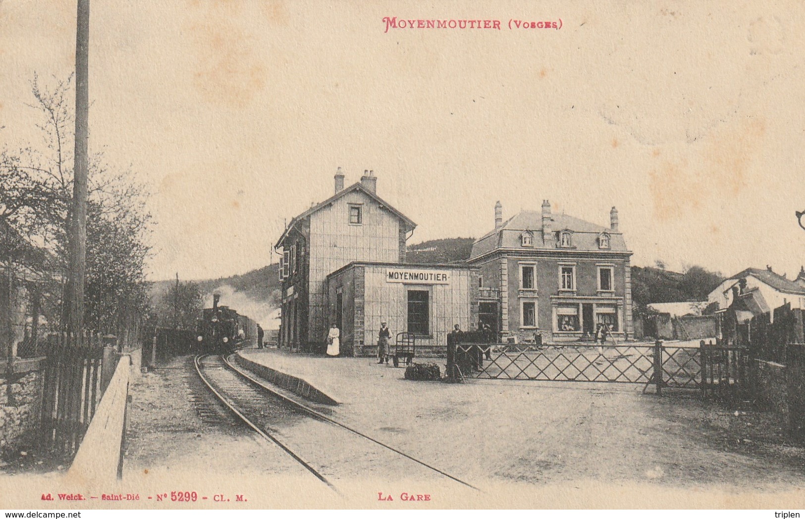 Moyenmoutier - La Gare - Train - Autres & Non Classés