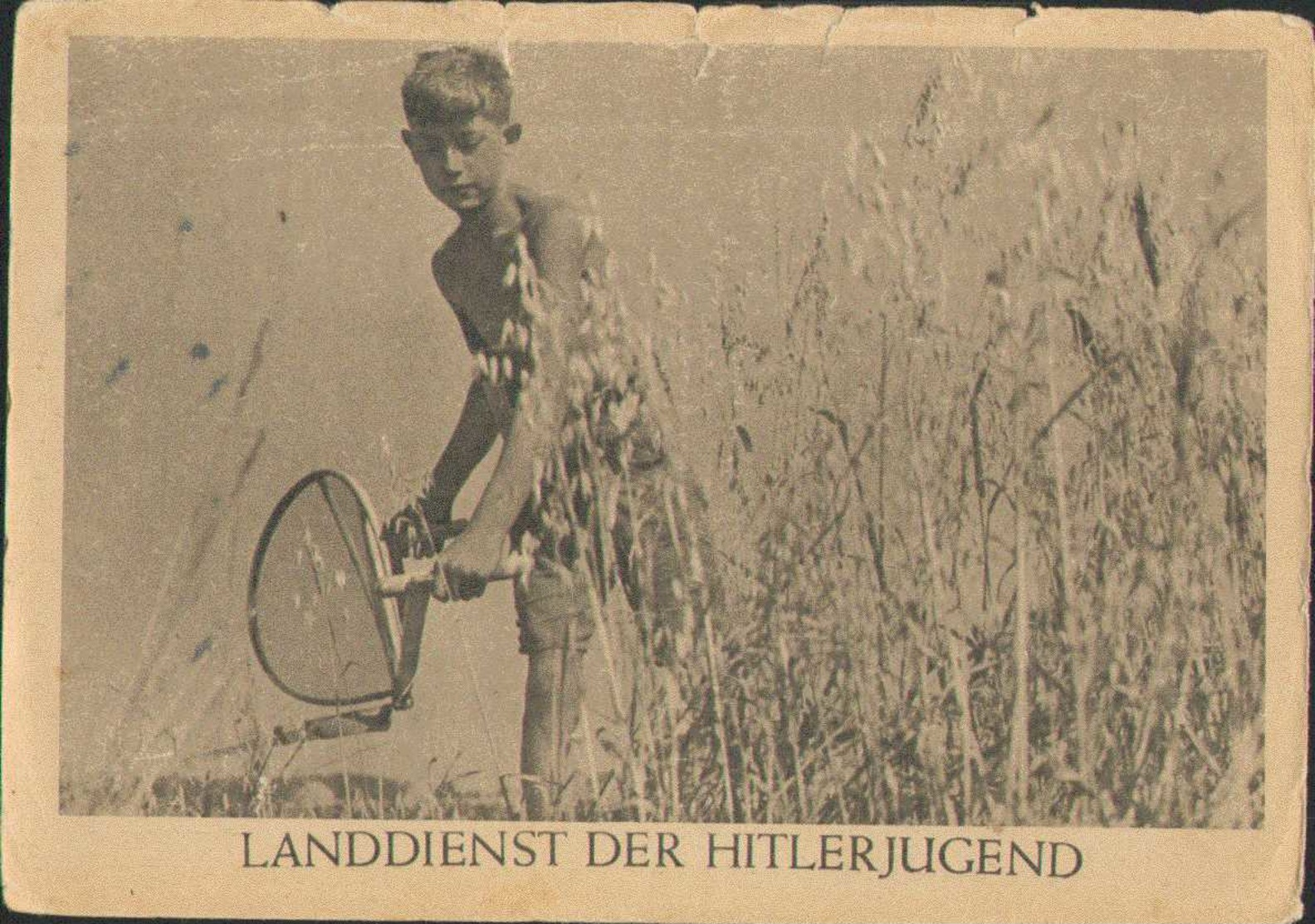 Landdienst Der Hitlerjugend, Propaganda-Postkarte, Drittes Reich - Guerra 1939-45