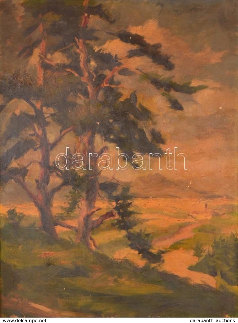 Jelzés Nélkül: Kilátás A Dombtetőről. Olaj, Vászon (festék Hibákkal), Keretben, 70×53 Cm - Other & Unclassified