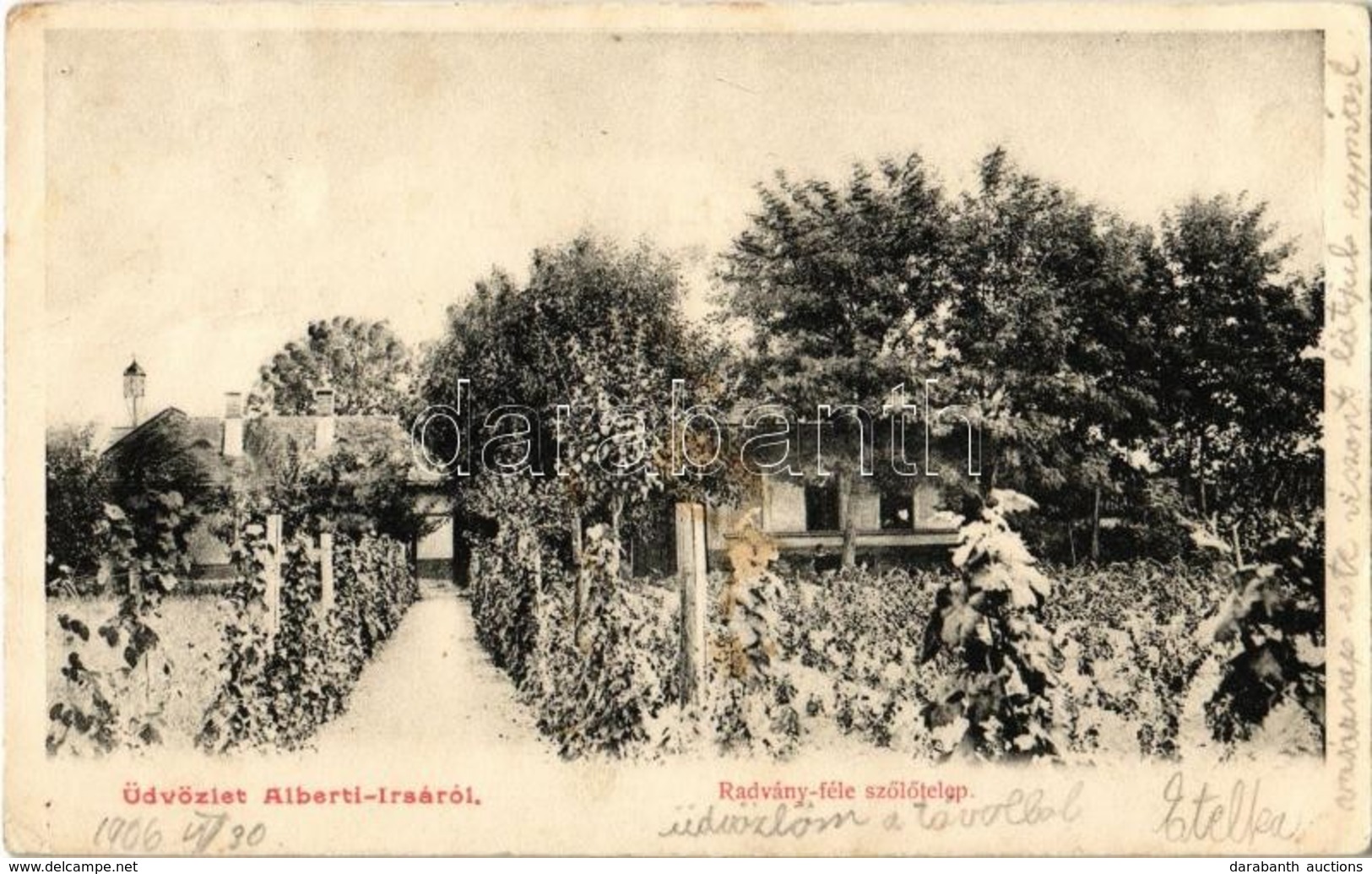 T2/T3 1906 Albertirsa, Radványi-féle Szőlőtelep (EK) - Unclassified