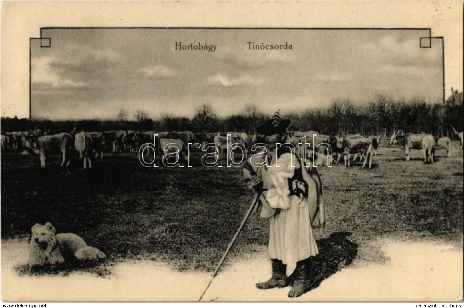 T2 1926 Hortobágy, Tinó Csorda, Folklór. Kiadja Haranghy Pál - Non Classés