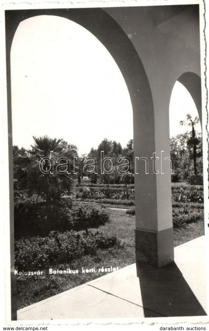 T2/T3 Kolozsvár, Cluj; Botanikus Kerti Részlet / Botanical Garden Detail (EK) - Unclassified