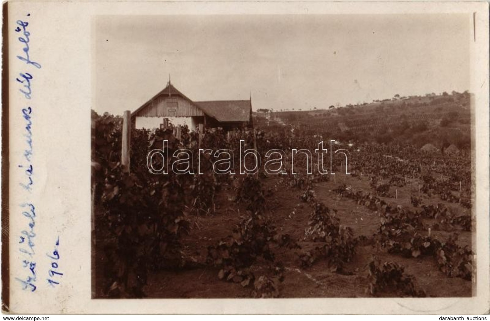 T2/T3 1906 Nagyvárad, Oradea; Bartsch Család Szőlőbeli Ház / Vineyard Villa. Photo - Unclassified