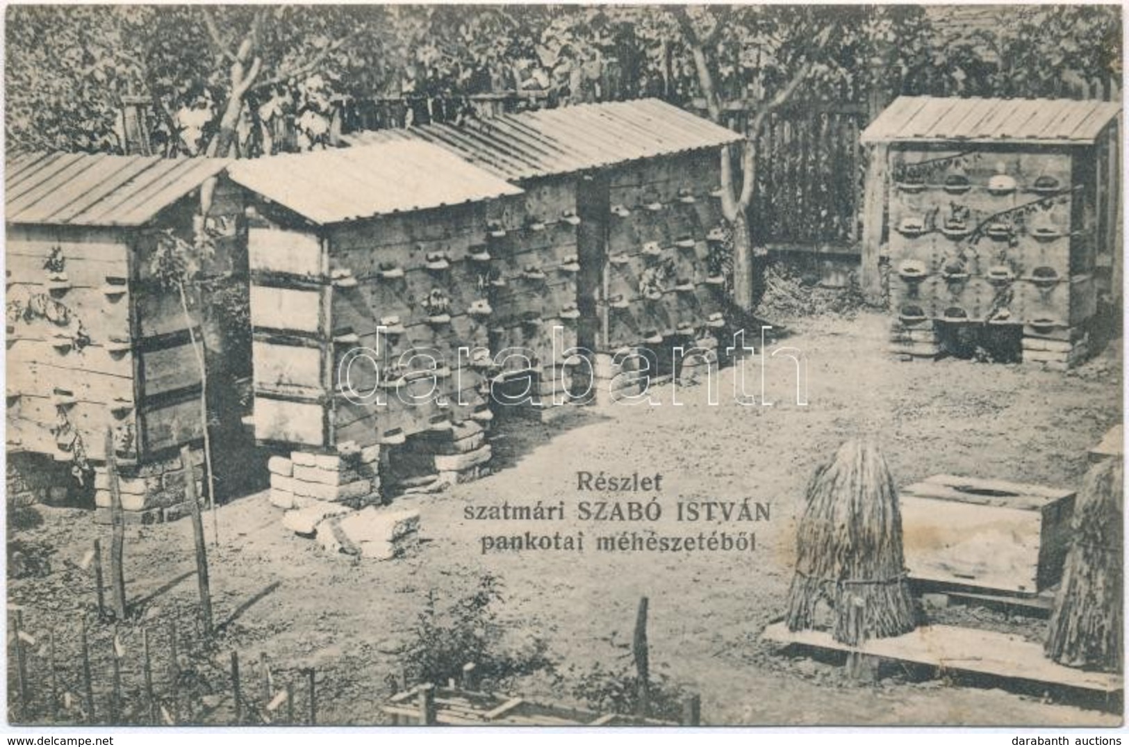 T3 1914 Pankota, Pancota; Szatmári Szabó István Méhészete. Hátoldalon Reklámmal / Beekeeping, Beehives, Advertisement On - Zonder Classificatie