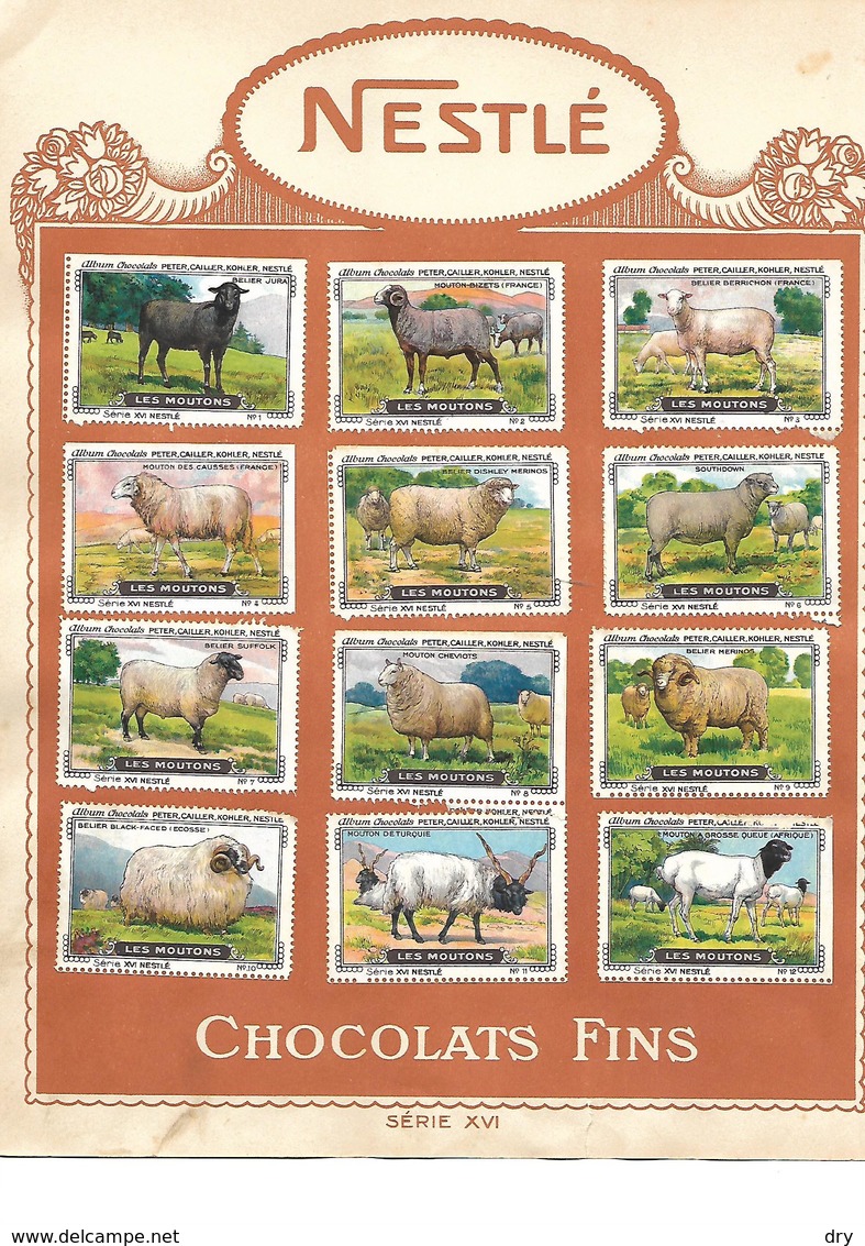 Images Chocolat Nestlé. 24 Fleurs Des Champs Et Moutons.Séries 15 Et 16. Collées Sur Feuille Album.. Envoi 1,72 €. - Autres & Non Classés