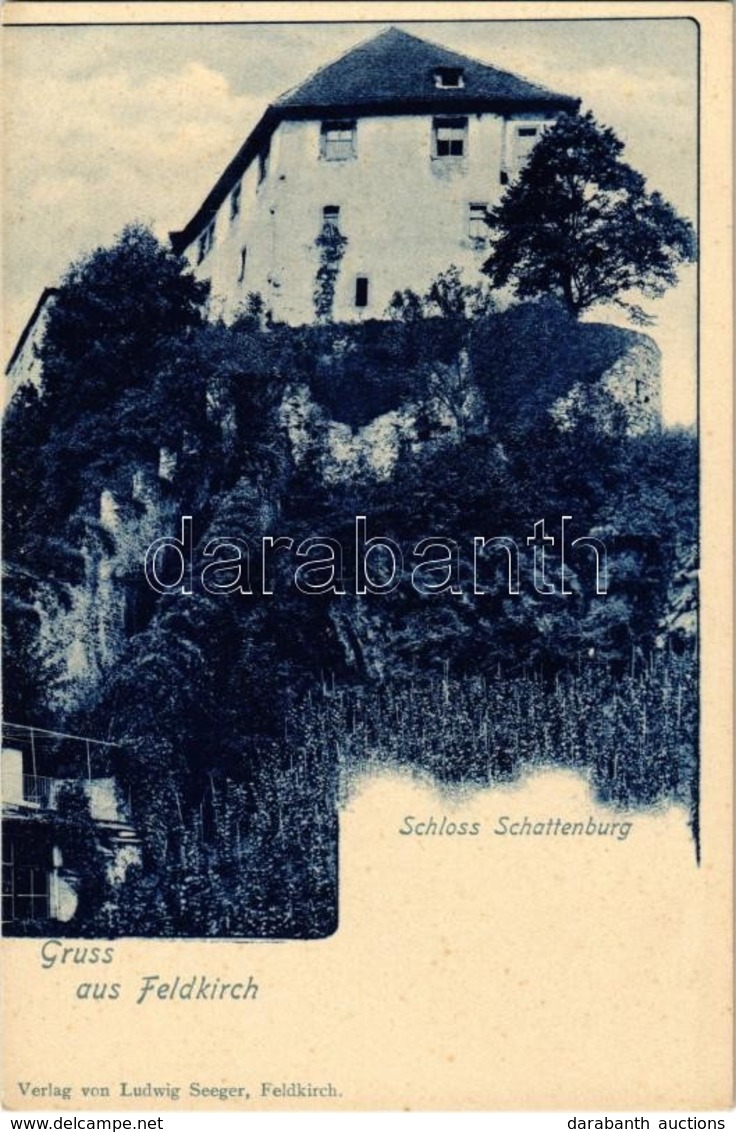 ** T1 Feldkirch, Schloss Schattenburg / Castle - Zonder Classificatie