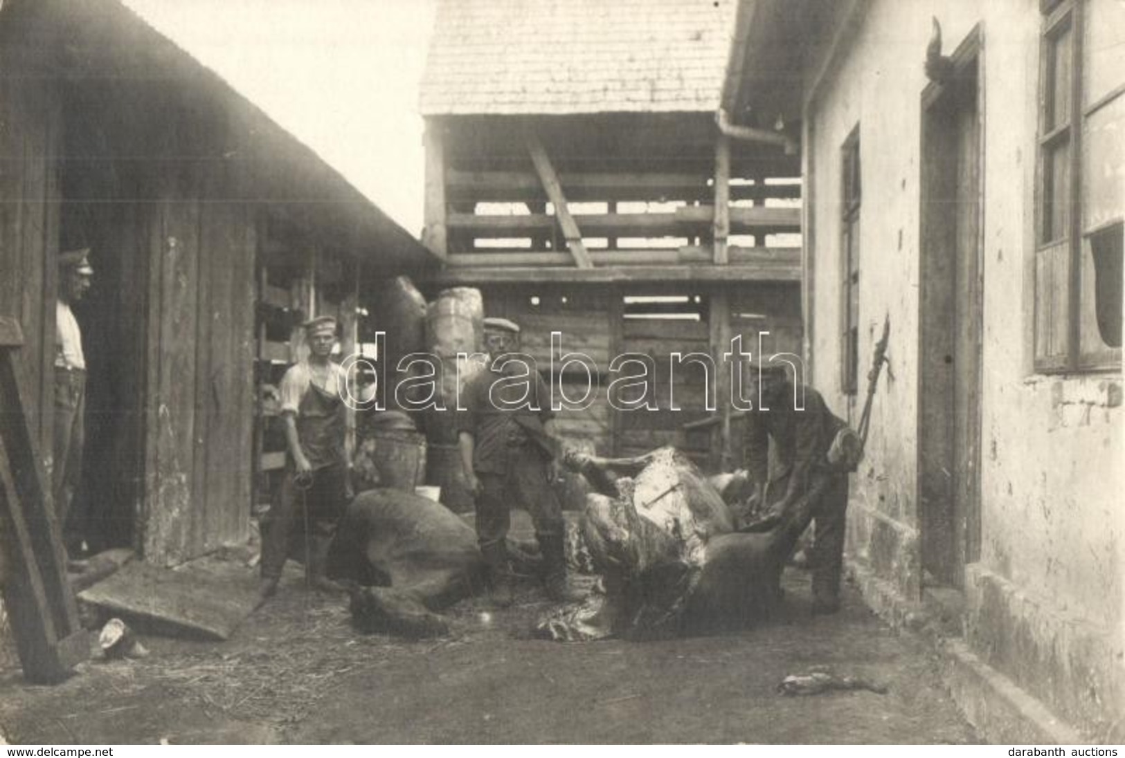 ** T2 Lómészárszék Katonai Táborban, Katonák állattetemekkel A Szerb Offenzíva Alatt / WWI K.u.K. Field Horse Butchery,  - Unclassified