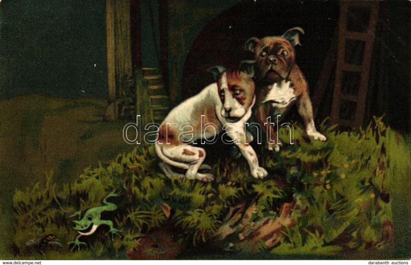 T2 Dogs, Frog, Bee, Humour, Litho - Unclassified