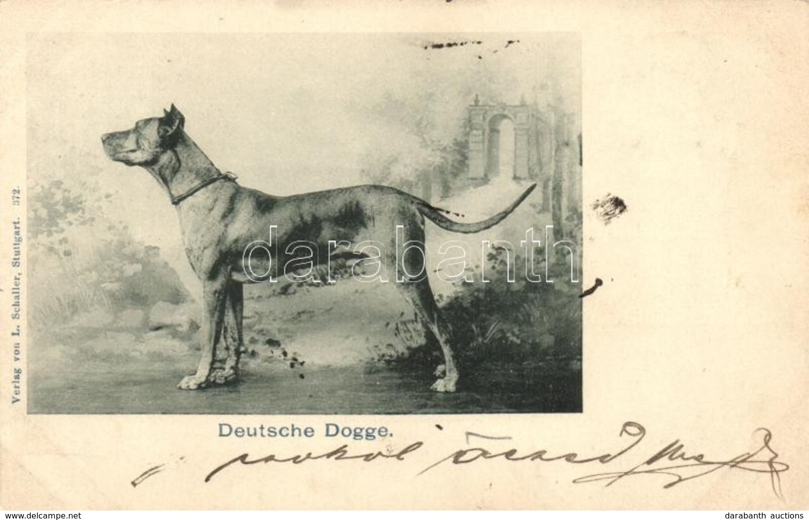 T2 1899 Deutsche Dogge / Great Dane - Zonder Classificatie