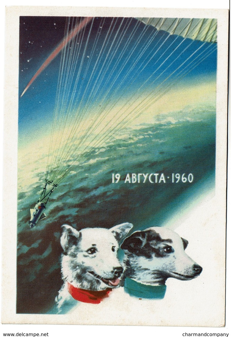 USSR Propaganda - Conquête De L'Espace - Les Chiens Belka Et Strelka - Spoutnik 5 - 19 Août 1960 - 2 Scans - Espace