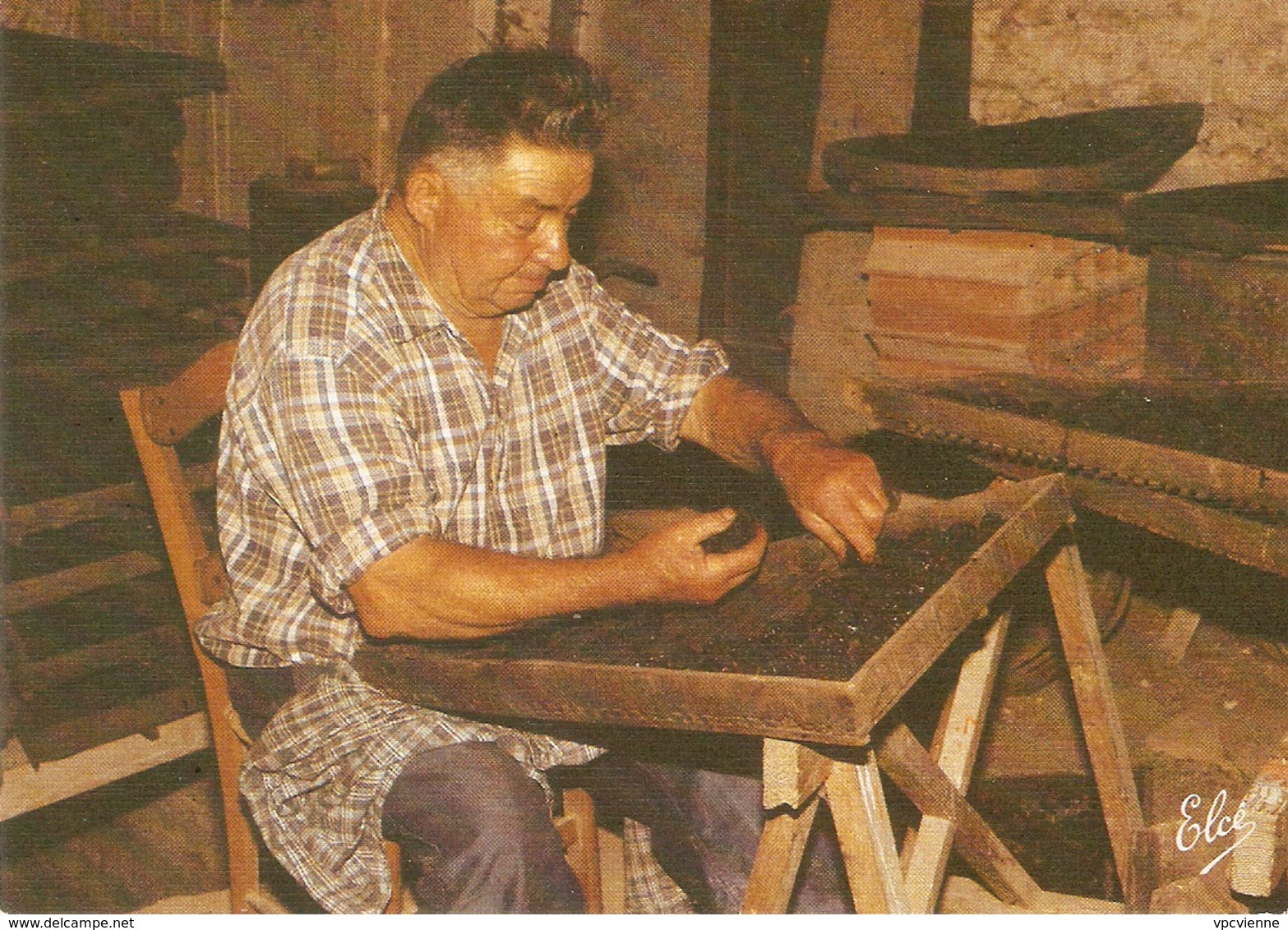 GASCOGNE . LE TRIAGE DES PRUNEAUX . GROS PLAN HOMME AU TRAVAIL . - Cultures