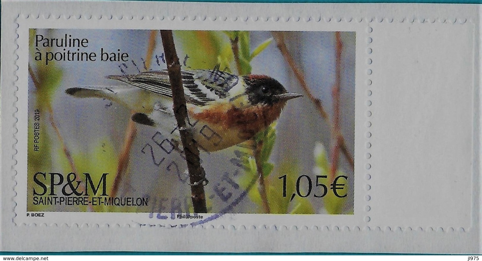 St.Pierre Et Miquelon Timbre Oblitéré YT N° 1214 Oiseau "Paruline à Poitrine Baie"  Cachet Rond St.Pierre 02-2019. - Used Stamps