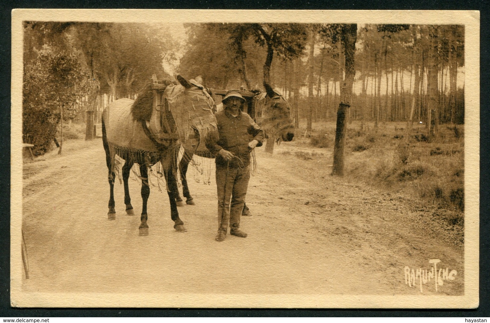 LOT DE 50 CARTES POSTALES DES LANDES 40