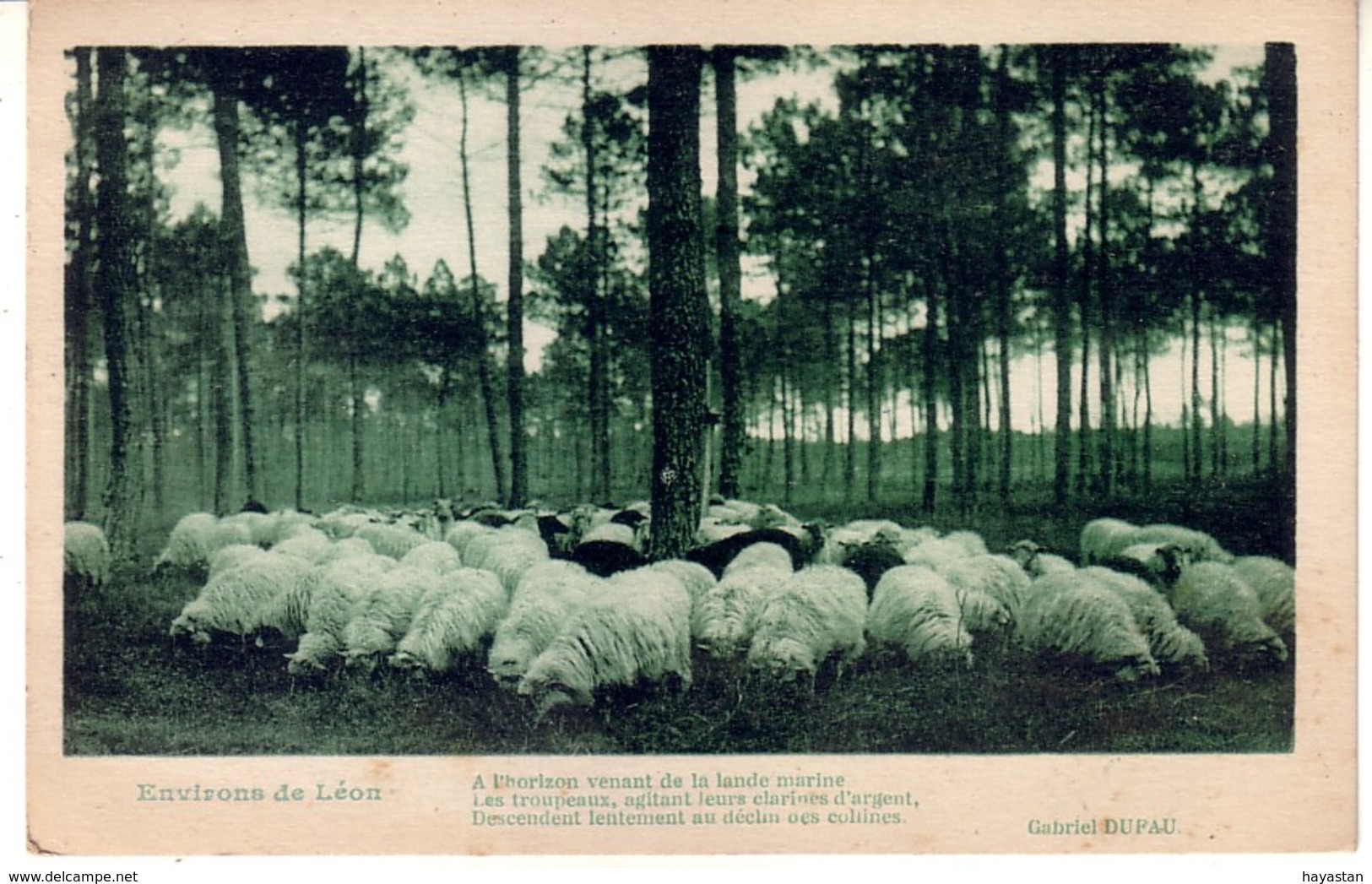 LOT DE 50 CARTES POSTALES DES LANDES 40