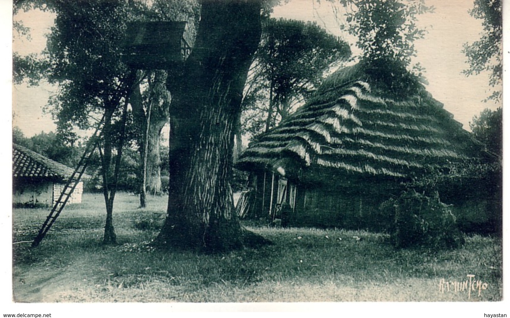 LOT DE 50 CARTES POSTALES DES LANDES 40