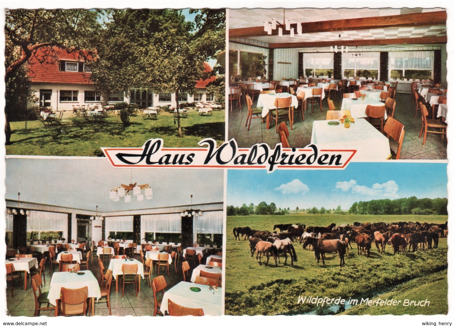 Dülmen - Gasthaus Waldfrieden Am Wildpark - Dülmen