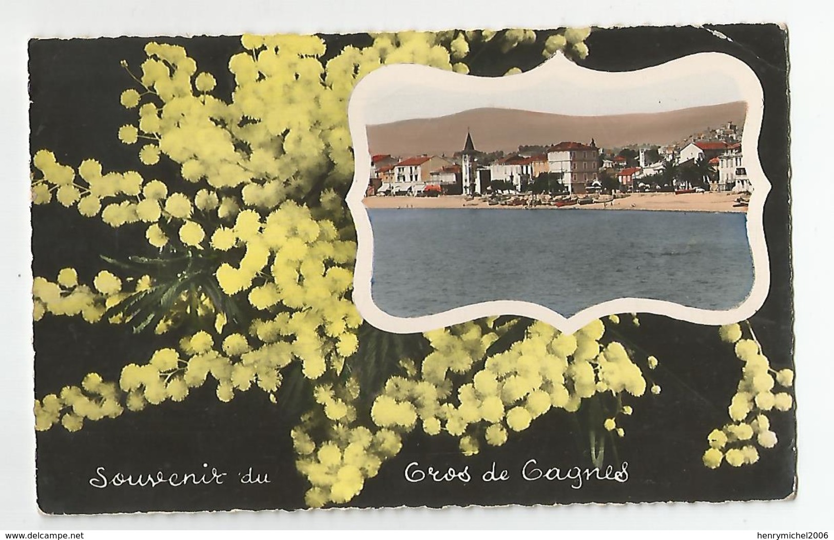 06 Cros De Cagnes Souvenir Mimosas - Cagnes-sur-Mer