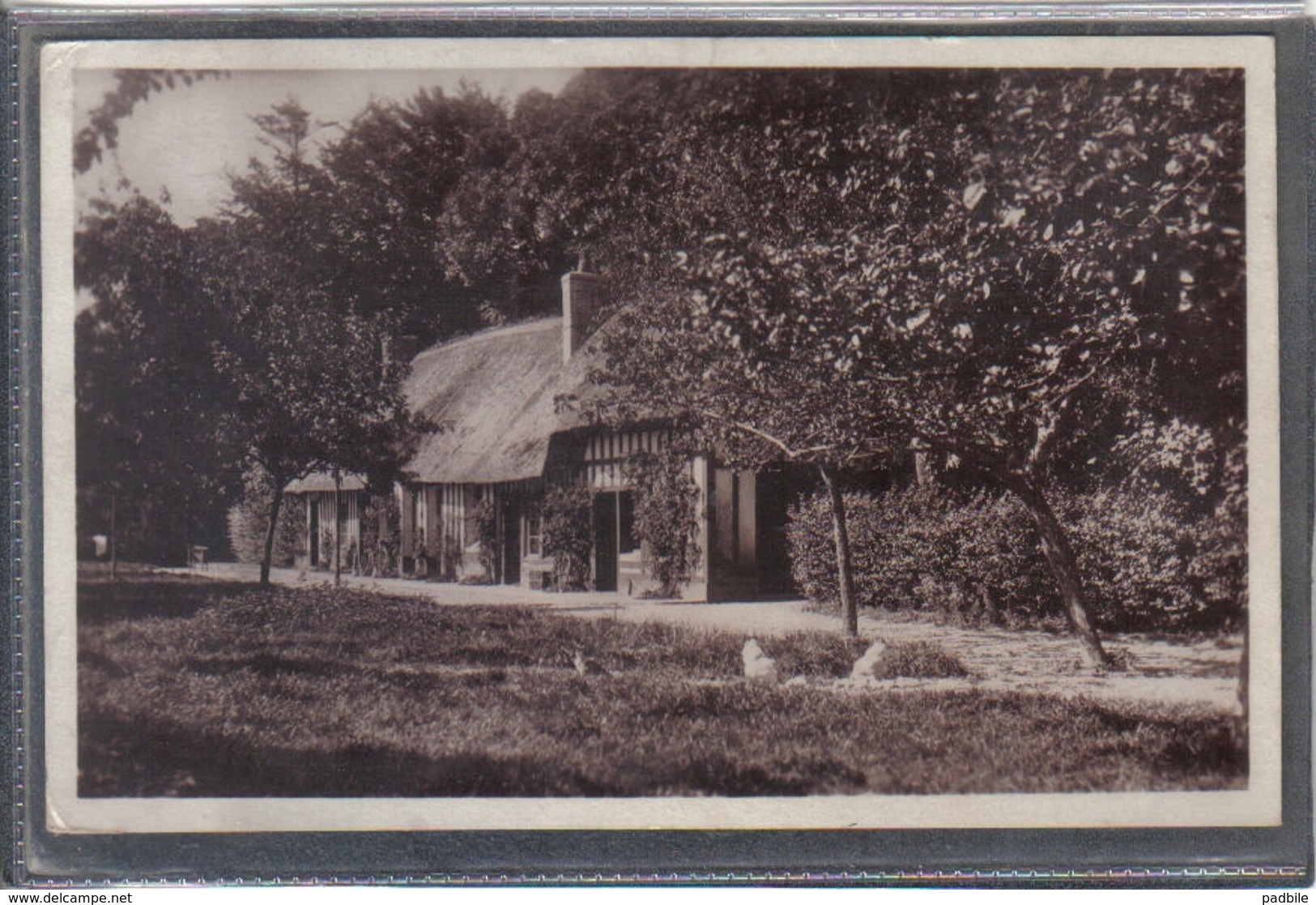 Carte Postale 76. Hameau De Sainte-Croix  Le Clos Et La Villa St-Pierre  Vattetot-sur-mer  Très Beau Plan - Autres & Non Classés