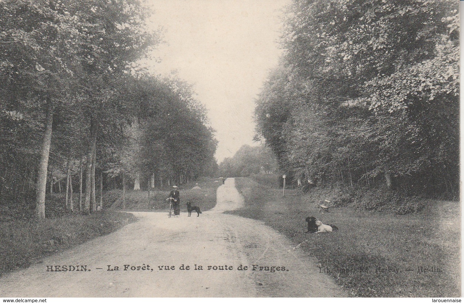 62 - HESDIN - La Forêt, Vue De La Route De Fruges - Hesdin