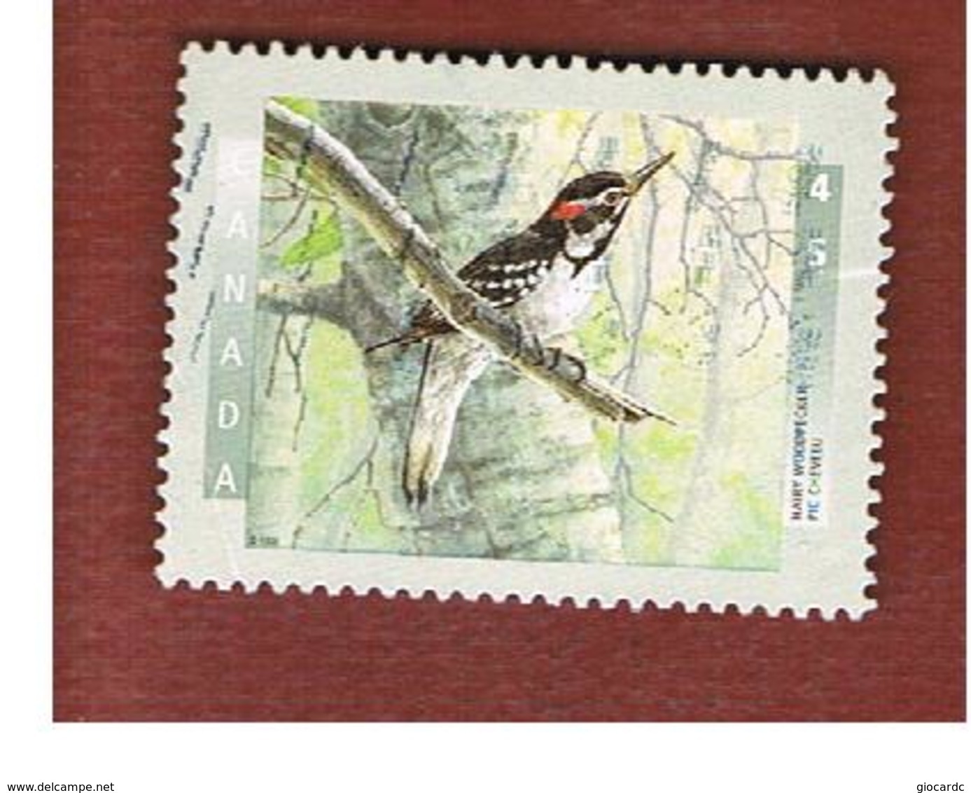 CANADA   -  SG 1779 -  1998  CANADIAN BIRDS: HAIRY WOODPECKER                    -      USED - Usati